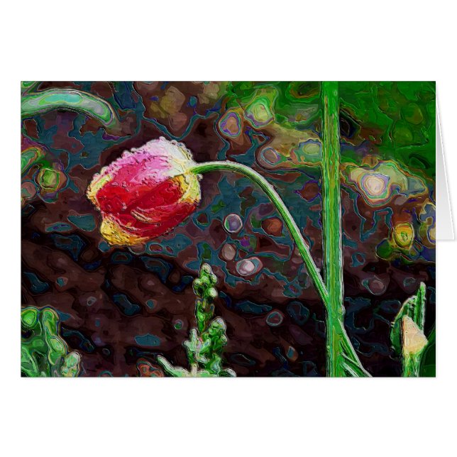 En röd papegoja hälsningskort (Framsidan Horizontal)