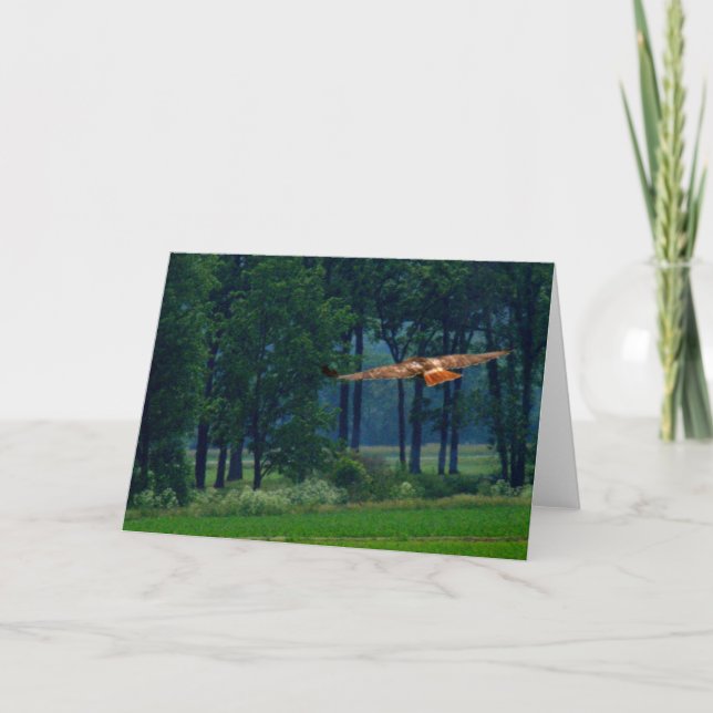 En röd Tailed hök i flyg Kort (Framsida)