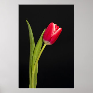 En röd tråd på svart bakgrund poster