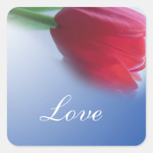 En röd tulpanblomma