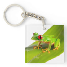 En Rödögd Trädgroda