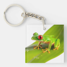 En Rödögd Trädgroda