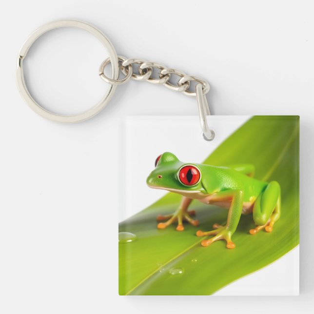 En Rödögd Trädgroda (Framsidan)