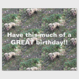 En rolig ungersk Vizsla-rulle med papprare inslagn Presentpapper