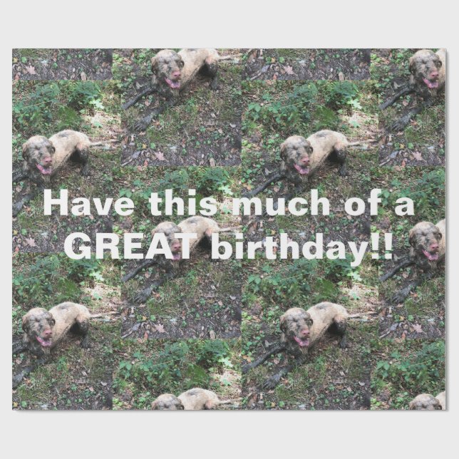 En rolig ungersk Vizsla-rulle med papprare inslagn Presentpapper (Platt)