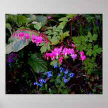 En romantisk blomma Poster