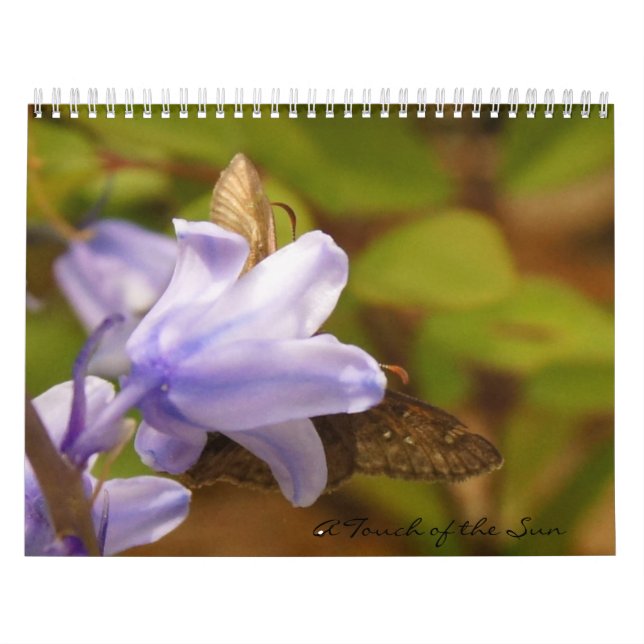 En röra av Carolinas Kalender (Omslag)