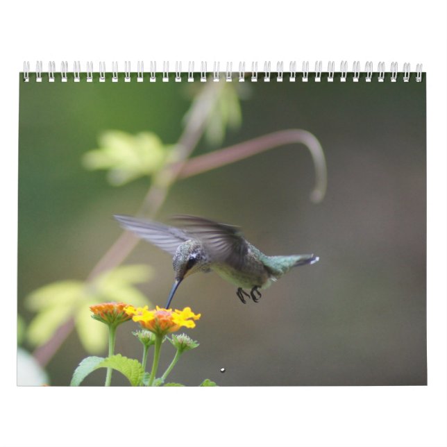 En röra vid Sol Kalender (Omslag)