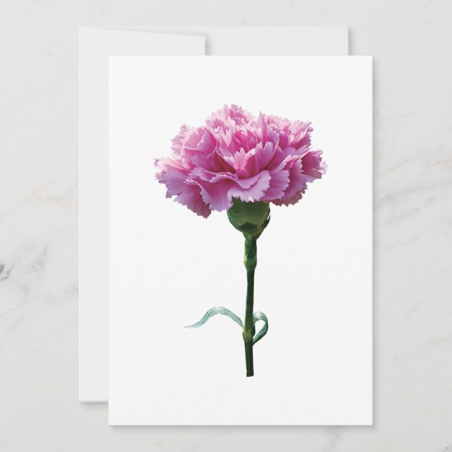 En Rosa Carnation (Framsida)