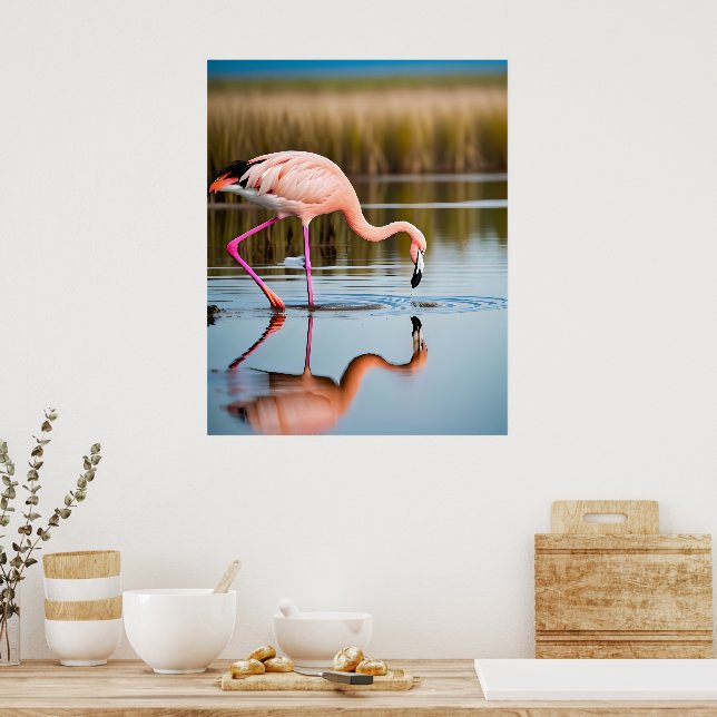 En rosa flamingo som ser sin reflektion i vattnet poster (Kök)