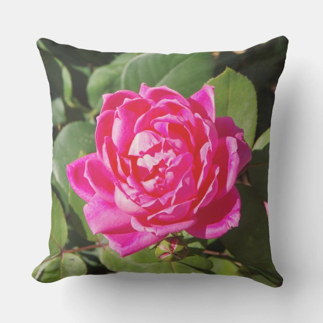 En Rosa ros Pillow Kudde (Framsida)