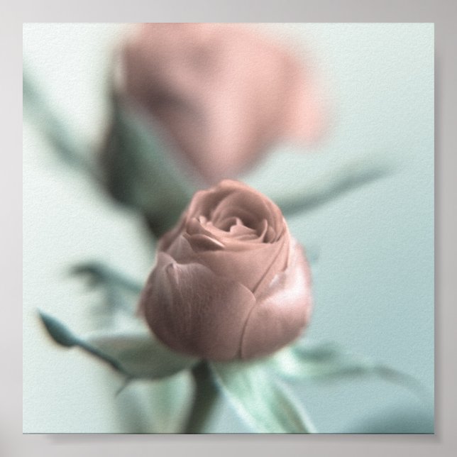 En Rosa ros till din älskling.. Poster (Framsidan)