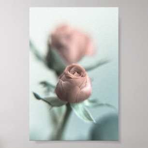 En Rosa ros till din älskling.. Poster