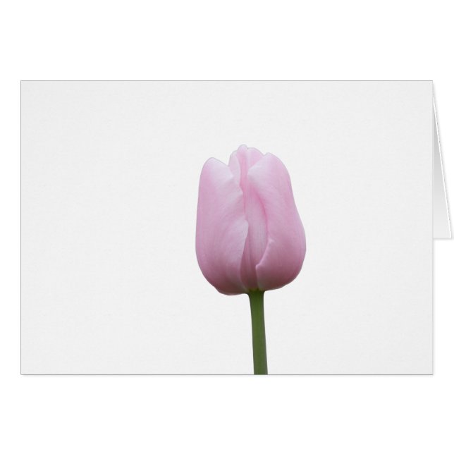 En Rosa Tulip Bud med Dikt Hälsningskort (Framsidan Horizontal)