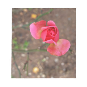 En rosenknopp i november anteckningsblock