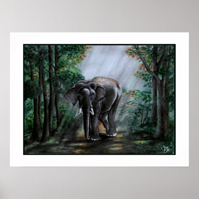 En röst för vildmarken poster (Framsidan)