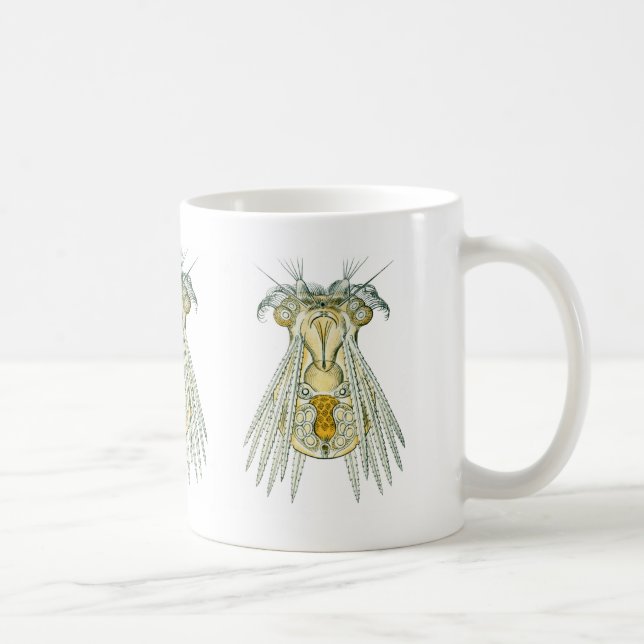En Rotifer Kaffemugg (Höger)