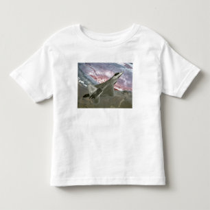 En rovfågel F/A-22 flyger en Tee