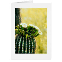 en saguaros blomning hälsningskort