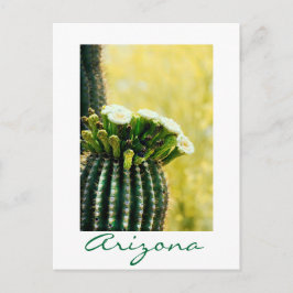 en saguaros blomning vykort