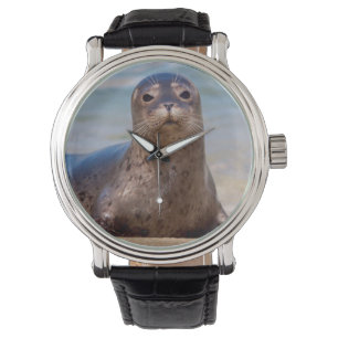 En säl på en strand längs Stillahavskusten Armbandsur