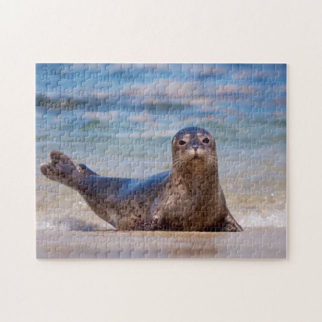 En säl på en strand längs Stillahavskusten Pussel (Horisontell)
