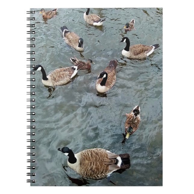 En samling fåglar anteckningsbok (Framsidan)