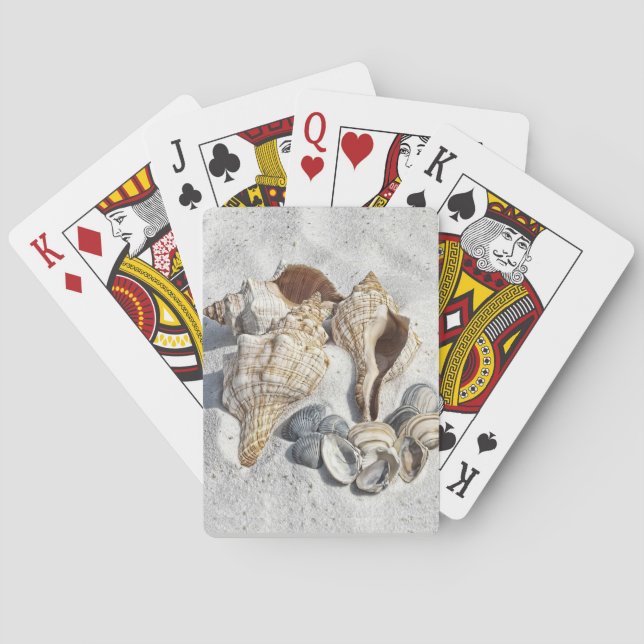 En samling snigelskal på sand casinokort (Baksidan)