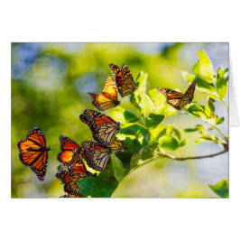 En sammankomst av monarkfjärilar hälsningskort