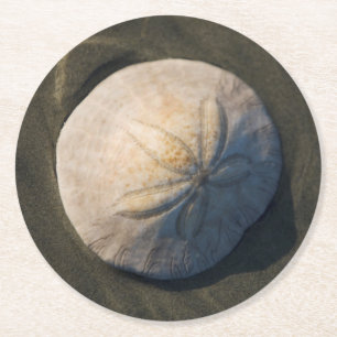 En Sanddollar på stranden Underlägg Papper Rund