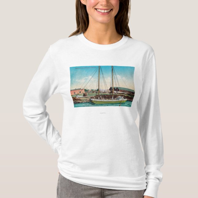 En sändningsSchooner ScenePetaluma, CA Tee (Framsida)