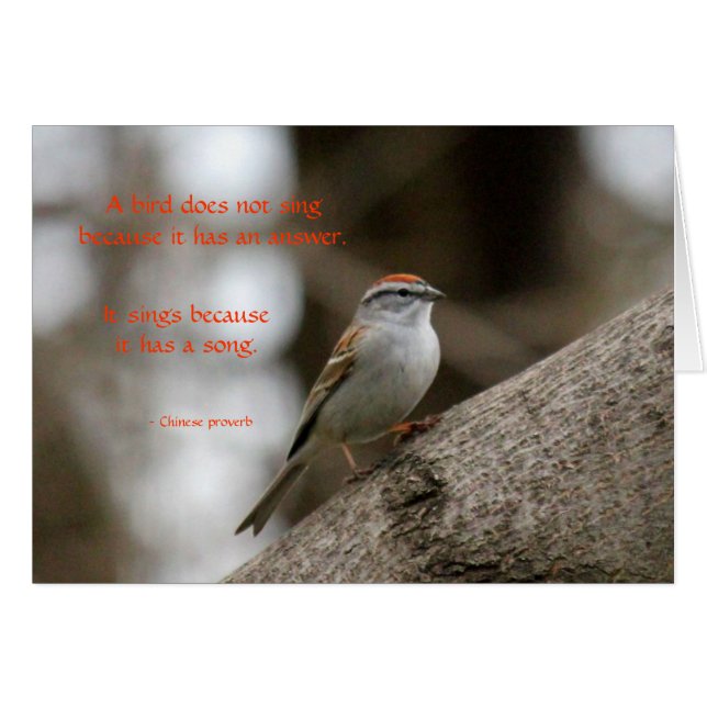 En sång OBS kort (Framsidan Horizontal)