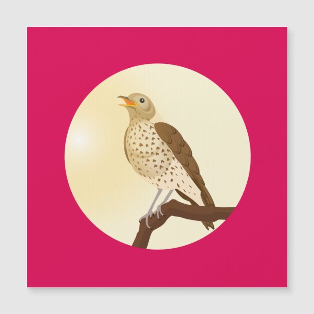 En sång-torsk satt på gren (Framsida)