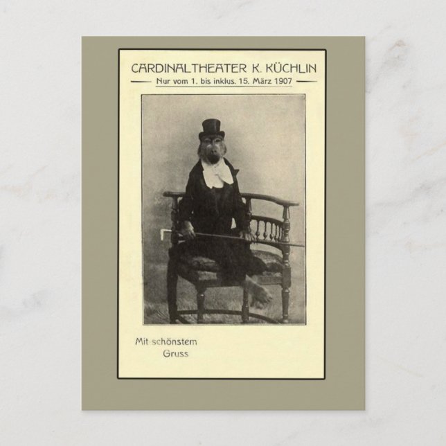 En sann sjukdom - en apa i Kostym Vykort (Framsida)