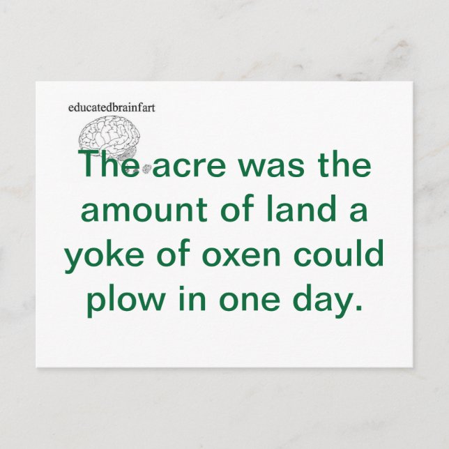 En sanning vykort (Framsida)