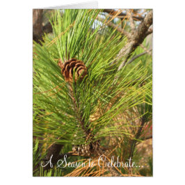 En säsong att fira.. hälsningskort