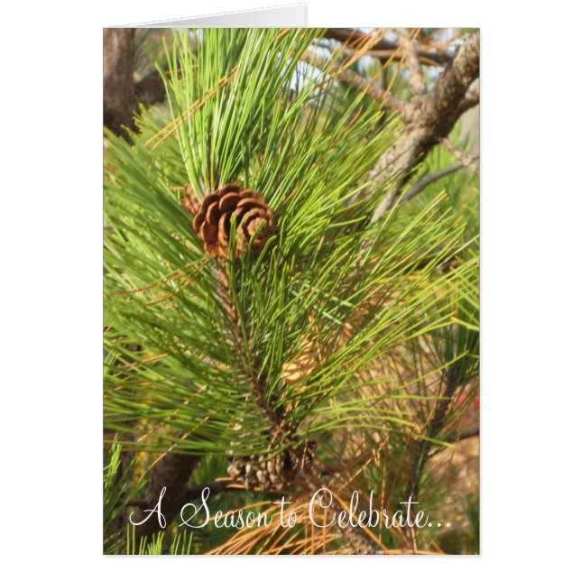 En säsong att fira.. hälsningskort (Framsidan)