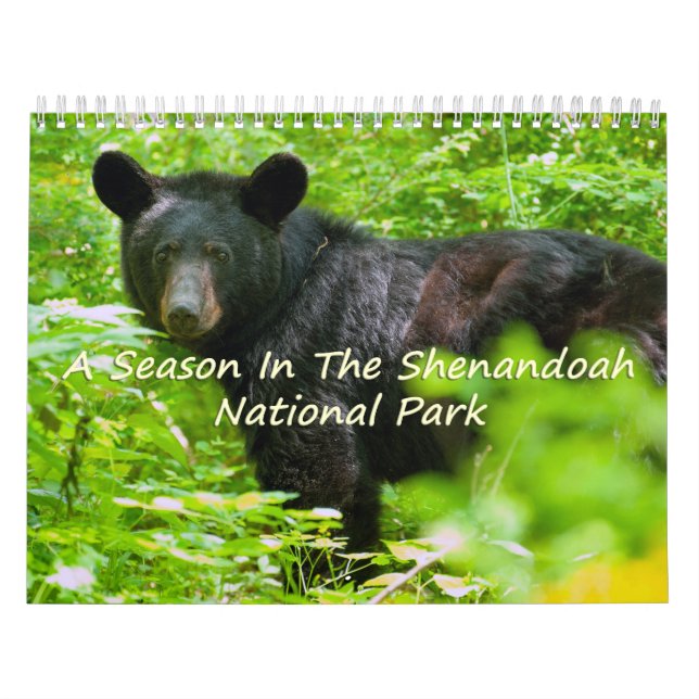 En säsong i nationalparken Shenandoah Kalender (Omslag)