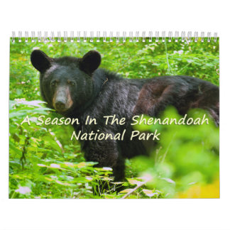 En säsong i Shenandoah Nat. Park Vculture Version Kalender