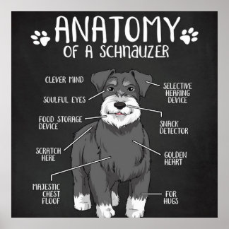 En Schnauzers fantastiska gift-anatomi Poster