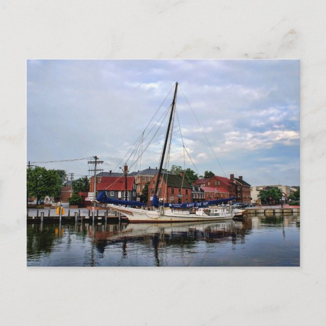 En segelbåt i Annapolis Harbour Vykort (Framsida)