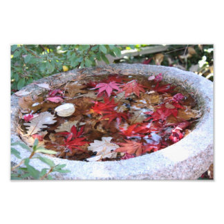 En server till hösten fototryck