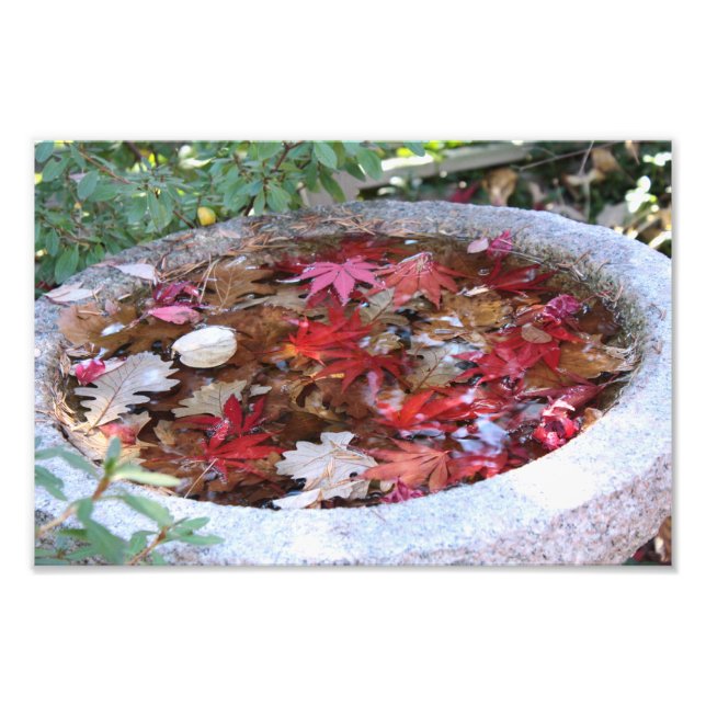 En server till hösten fototryck (Framsidan)