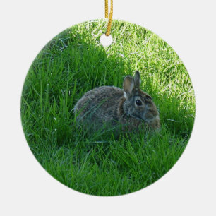 En Shady Bunny Julgransprydnad Keramik