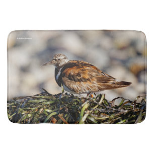 En Showstop Ruddy Turnstone Badrumsmatta