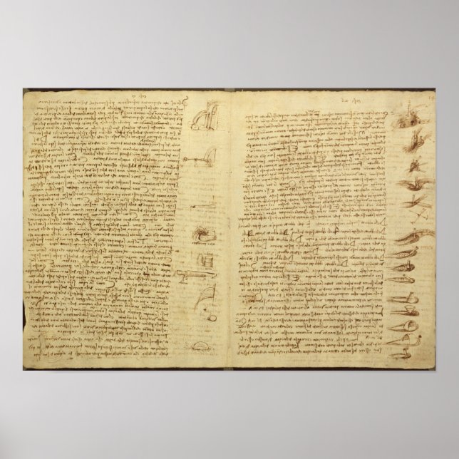 En sida från Codex Leicester, 1508-12 Poster (Framsidan)