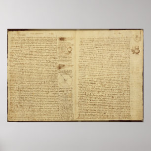 En sida från Codex Leicester, 1508-12 Poster