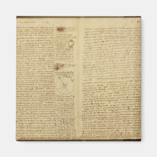 En sida från codexen Leicester, 1508-12 Magnet