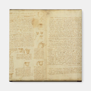 En sida från codexen Leicester, 1508-12 Magnet