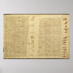 En sida från codexen Leicester, 1508-12 Poster